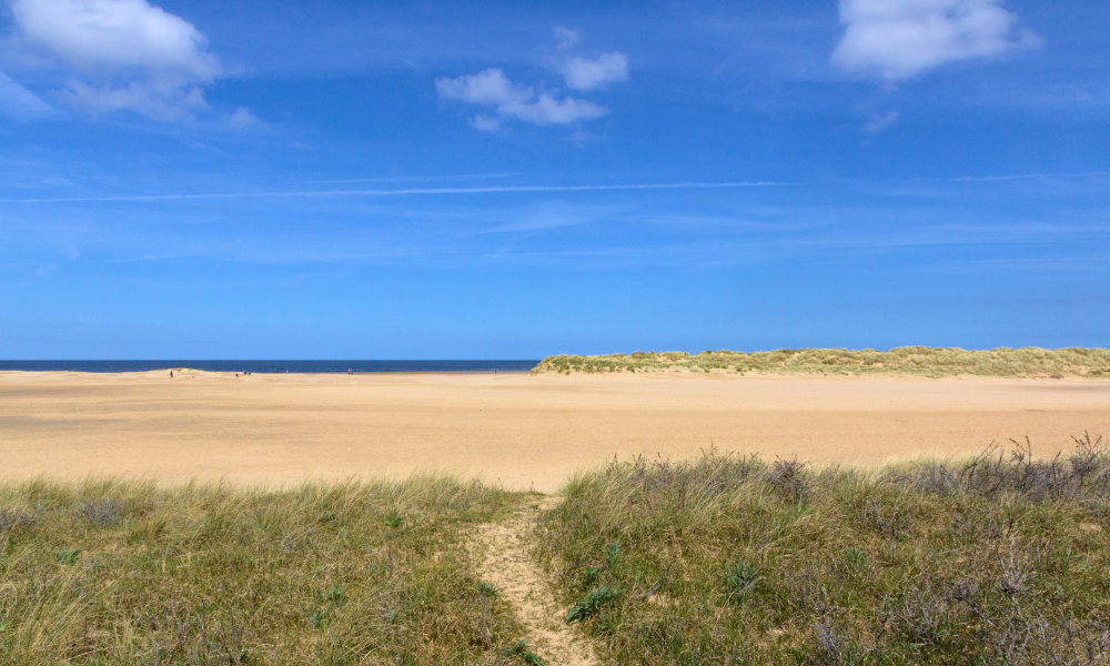 Wells beach dunes